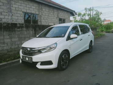 Retis lapen casen